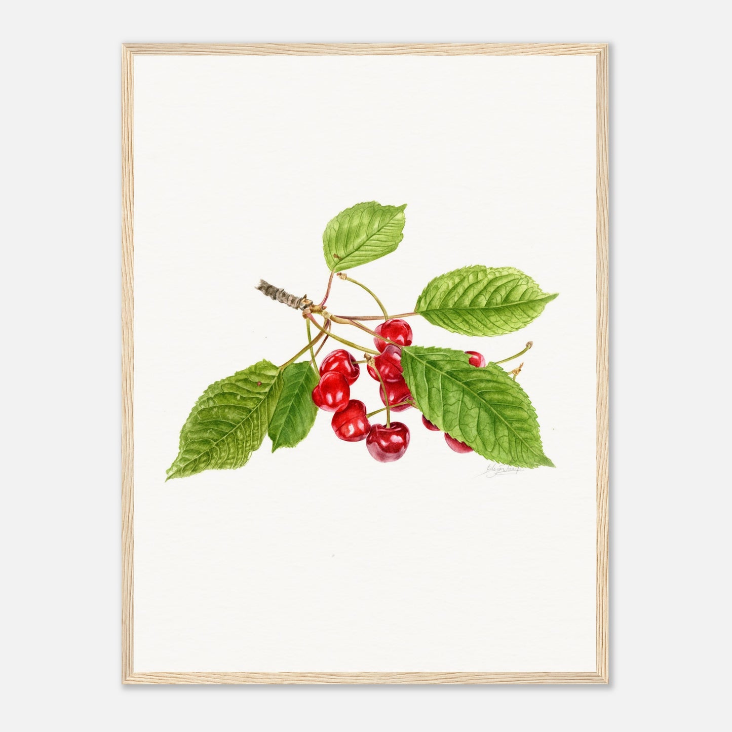 Watercolor Cherry Print - Botanical Wall Art, Red Cherry Illustration