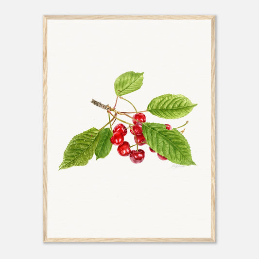 Watercolor Cherry Print - Botanical Wall Art, Red Cherry Illustration