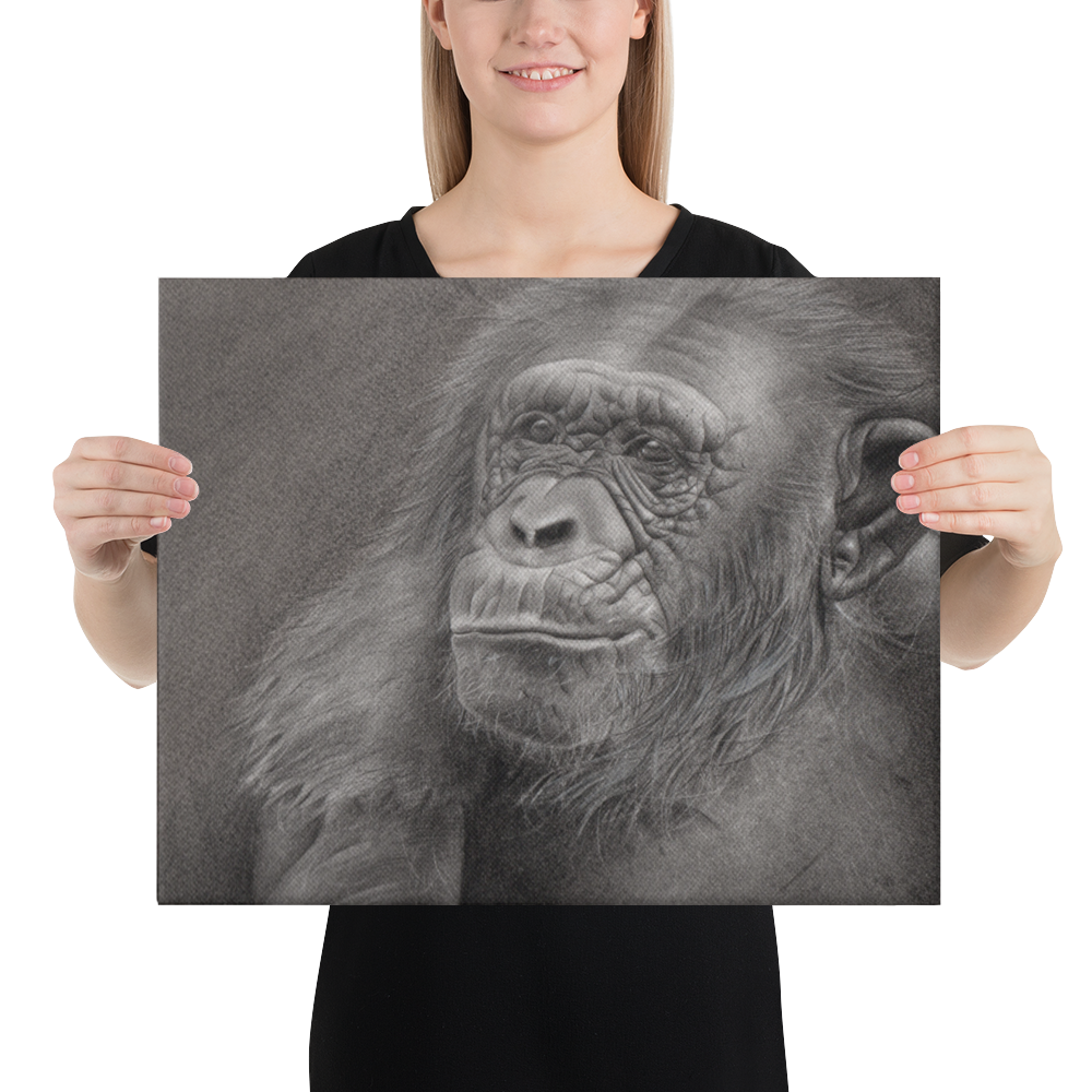 Chimpanzee Portrait Canvas Print – Realistic Pencil Drawing