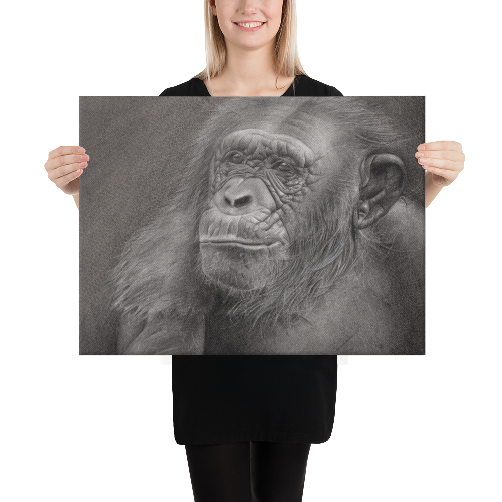 Chimpanzee Portrait Canvas Print – Realistic Pencil Drawing