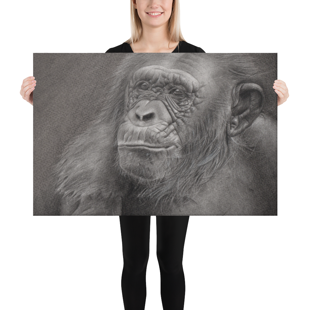 Chimpanzee Portrait Canvas Print – Realistic Pencil Drawing